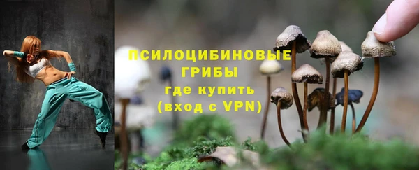 синтетический гашиш Няндома