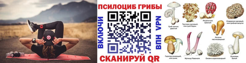 Галлюциногенные грибы Psilocybine cubensis  Химки 
