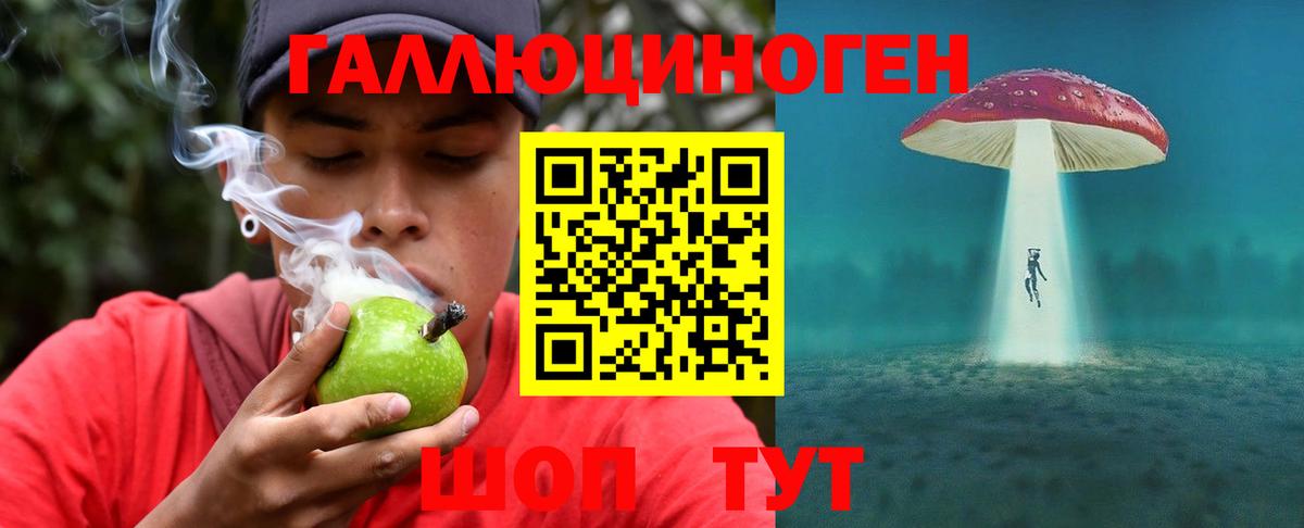 Псилоцибиновые грибы MAGIC MUSHROOMS  Вход с VPN  Химки 